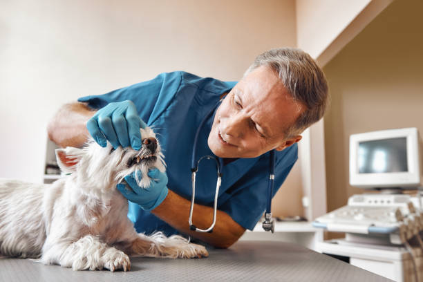 Best Emergency Dental Extractions in Franklin, MI