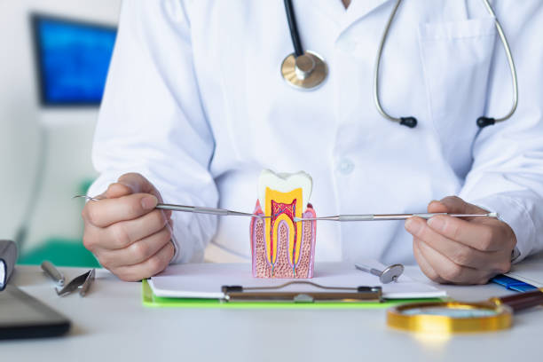 Best Weekend Emergency Dentist in Franklin, MI